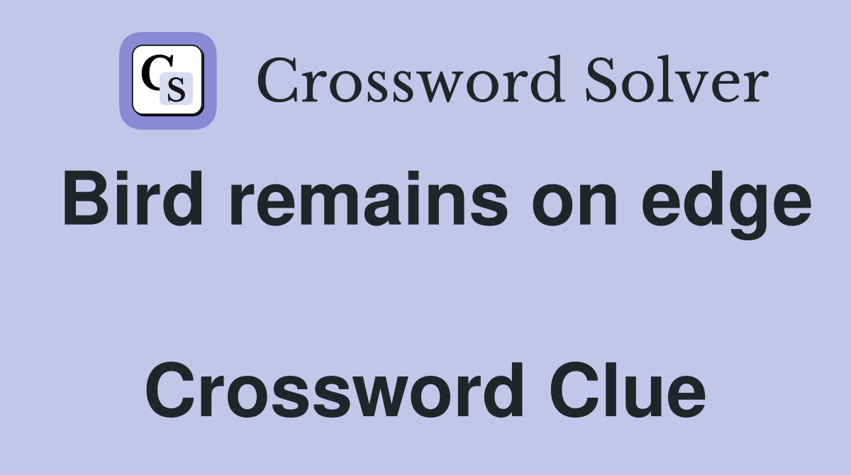 Bird remains on edge  Crossword Clue
