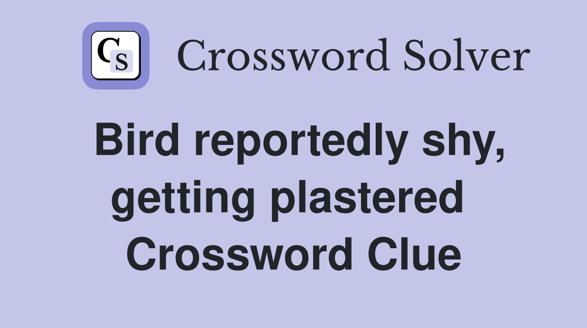 Bird reportedly shy, getting plastered  Crossword Clue