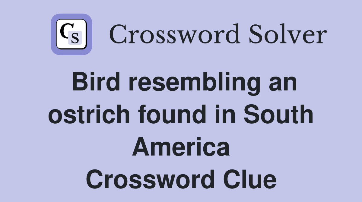 Bird resembling an ostrich found in South America Crossword Clue
