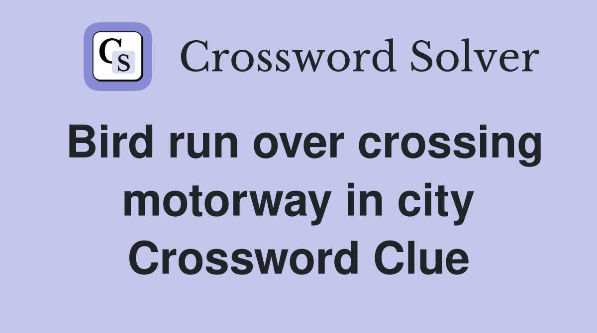 Bird run over crossing motorway in city Crossword Clue