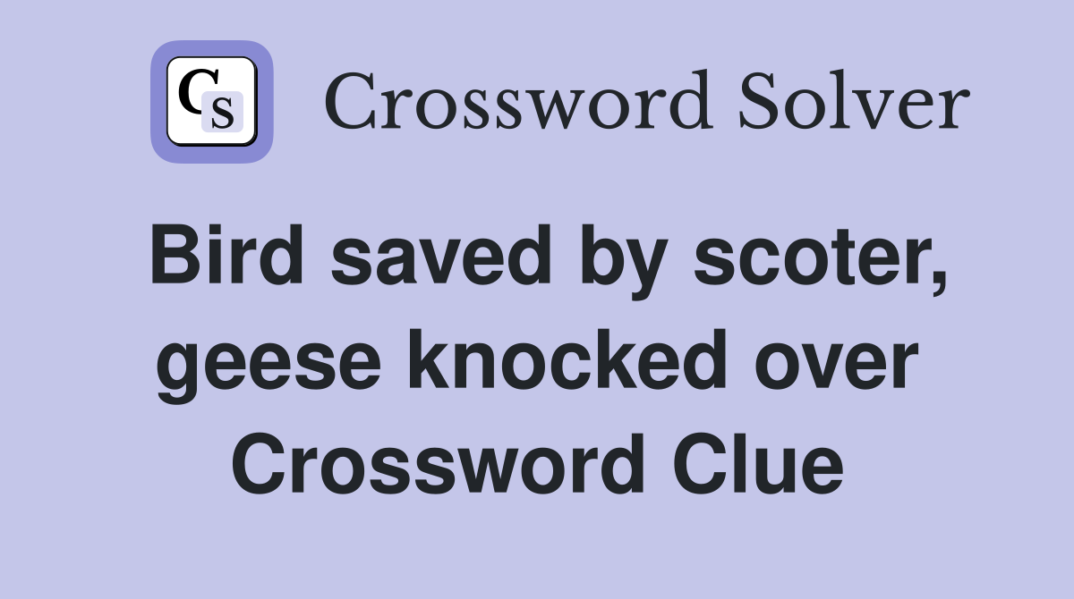 Bird saved by scoter, geese knocked over Crossword Clue