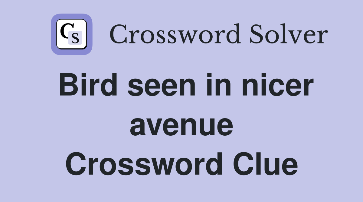 Bird seen in nicer avenue Crossword Clue