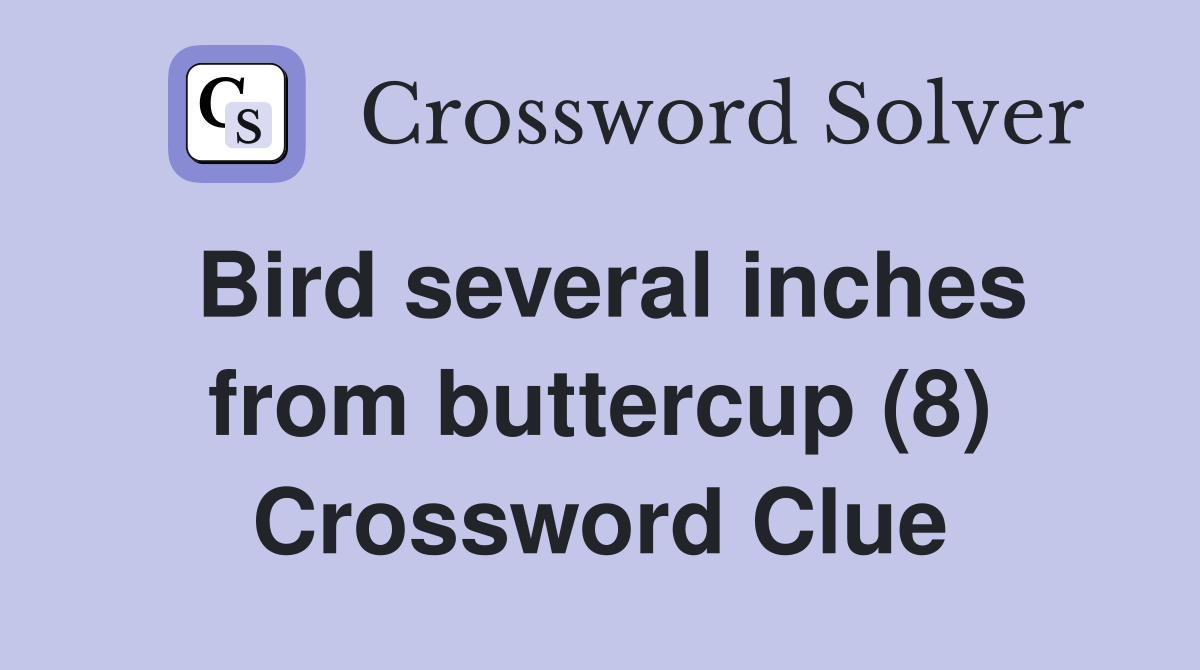 Bird several inches from buttercup (8) Crossword Clue