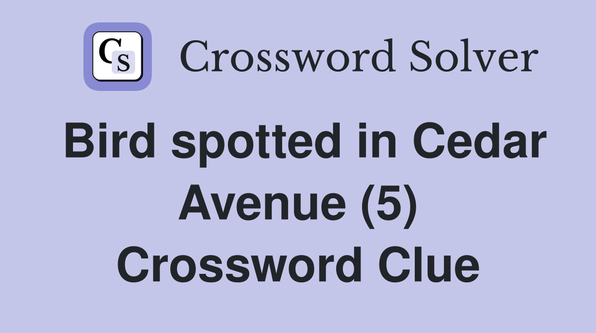 Bird spotted in Cedar Avenue (5) Crossword Clue