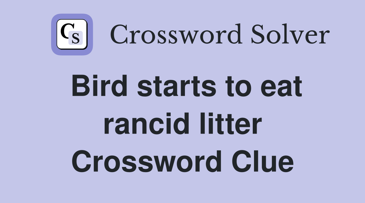 Bird starts to eat rancid litter Crossword Clue