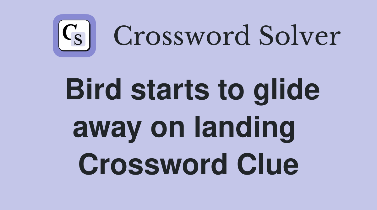 Bird starts to glide away on landing  Crossword Clue