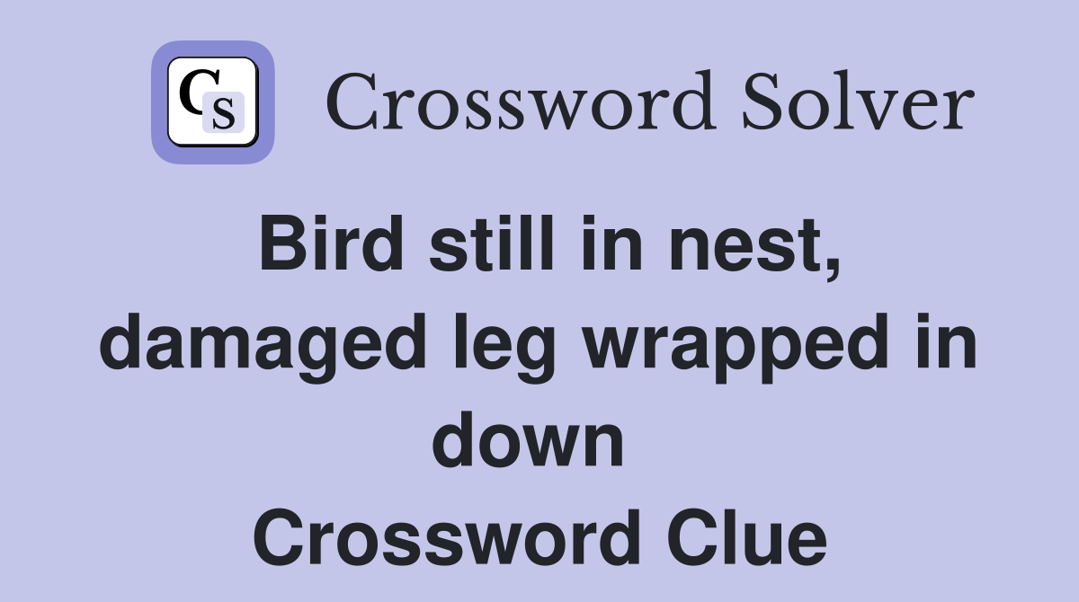 Bird still in nest, damaged leg wrapped in down  Crossword Clue