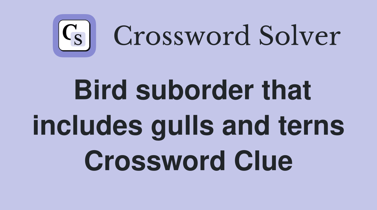 Bird suborder that includes gulls and terns Crossword Clue