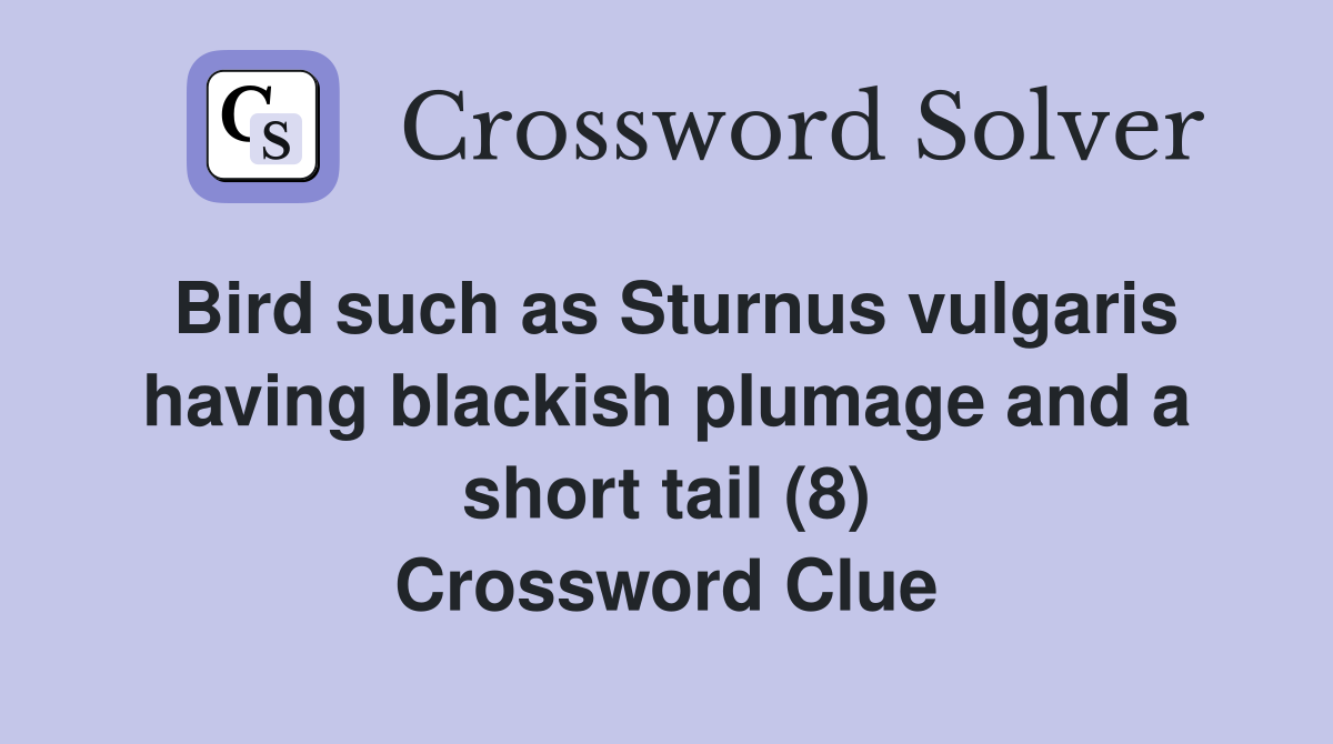 Bird such as Sturnus vulgaris having blackish plumage and a short tail (8) Crossword Clue