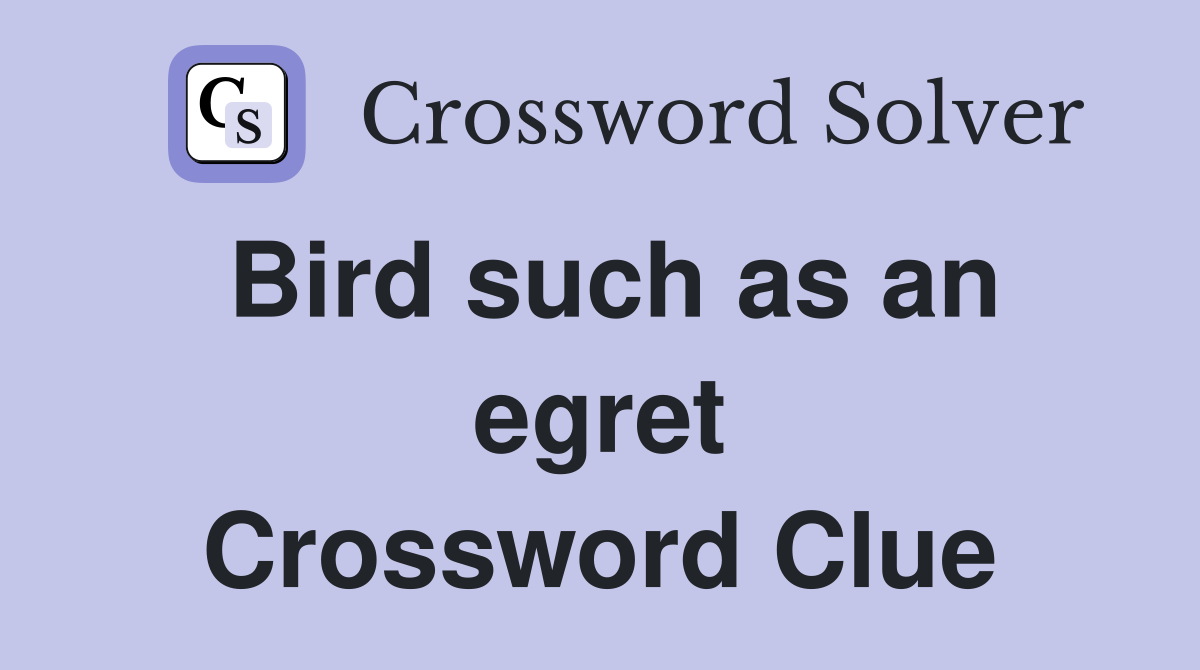 Bird such as an egret Crossword Clue