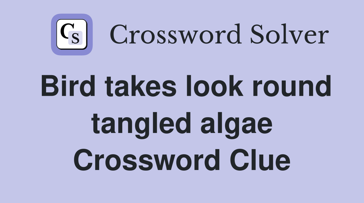 Bird takes look round tangled algae Crossword Clue