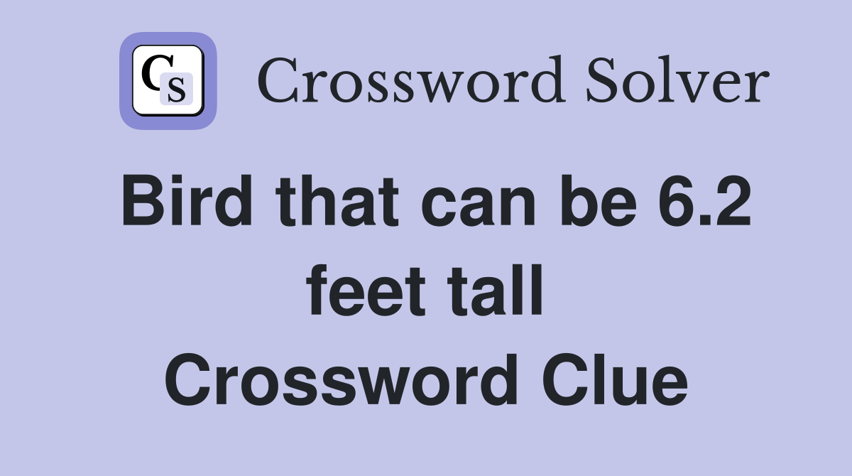 Bird that can be 6.2 feet tall Crossword Clue