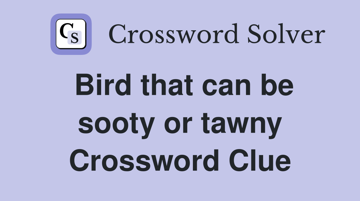 Bird that can be sooty or tawny Crossword Clue