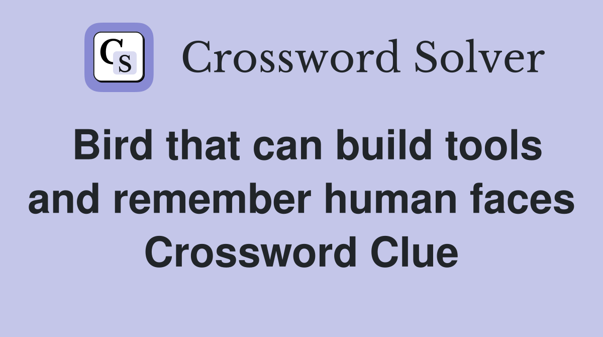 Bird that can build tools and remember human faces Crossword Clue