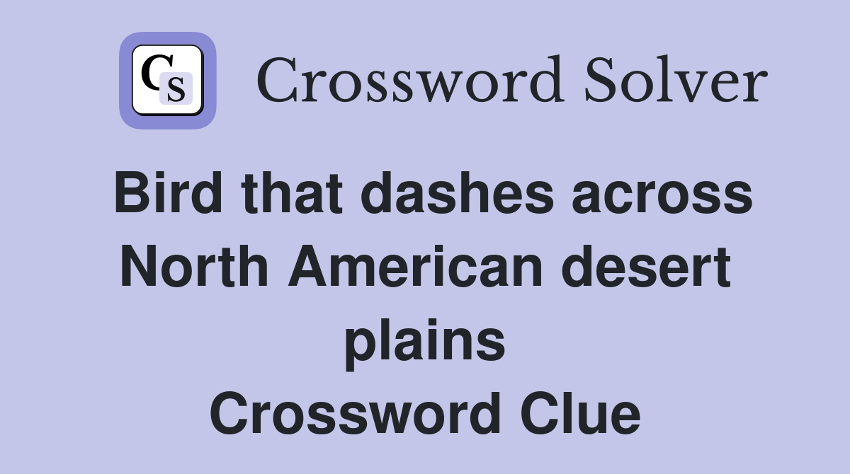 Bird that dashes across North American desert plains Crossword Clue