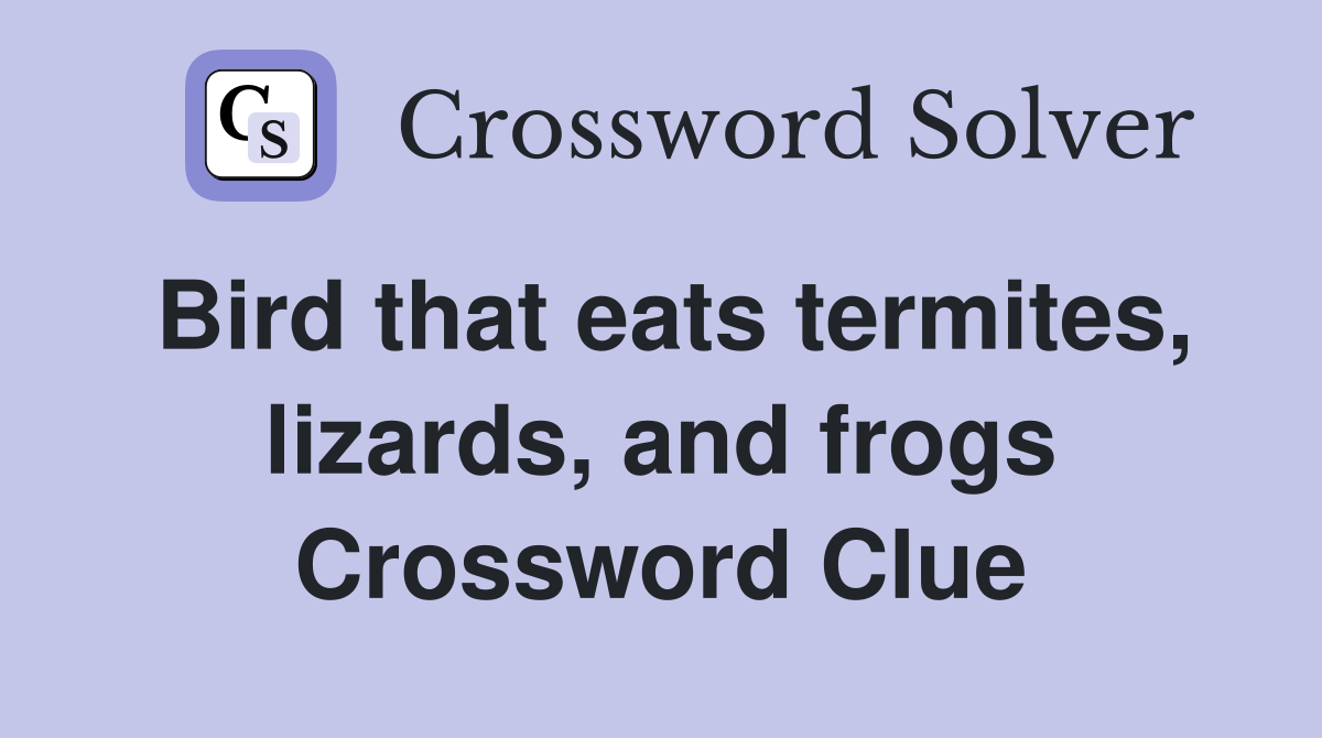 Bird that eats termites, lizards, and frogs Crossword Clue