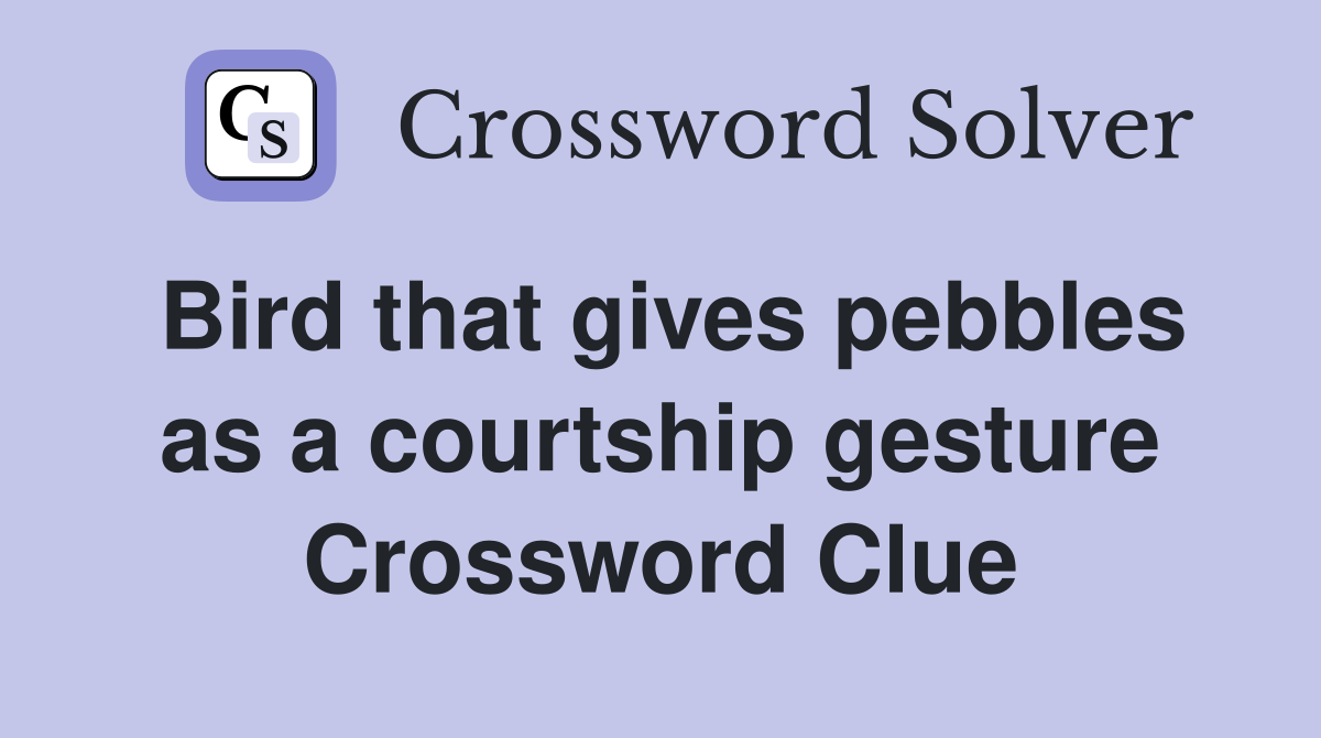 Bird that gives pebbles as a courtship gesture Crossword Clue