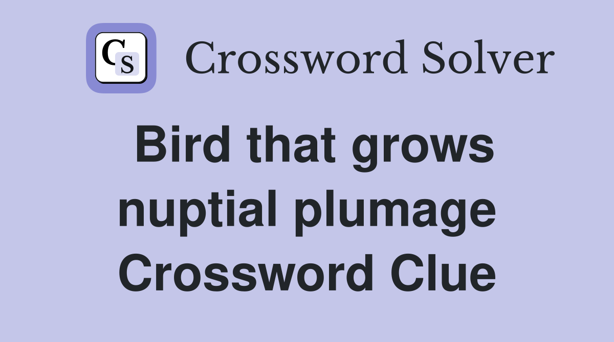 Bird that grows nuptial plumage Crossword Clue