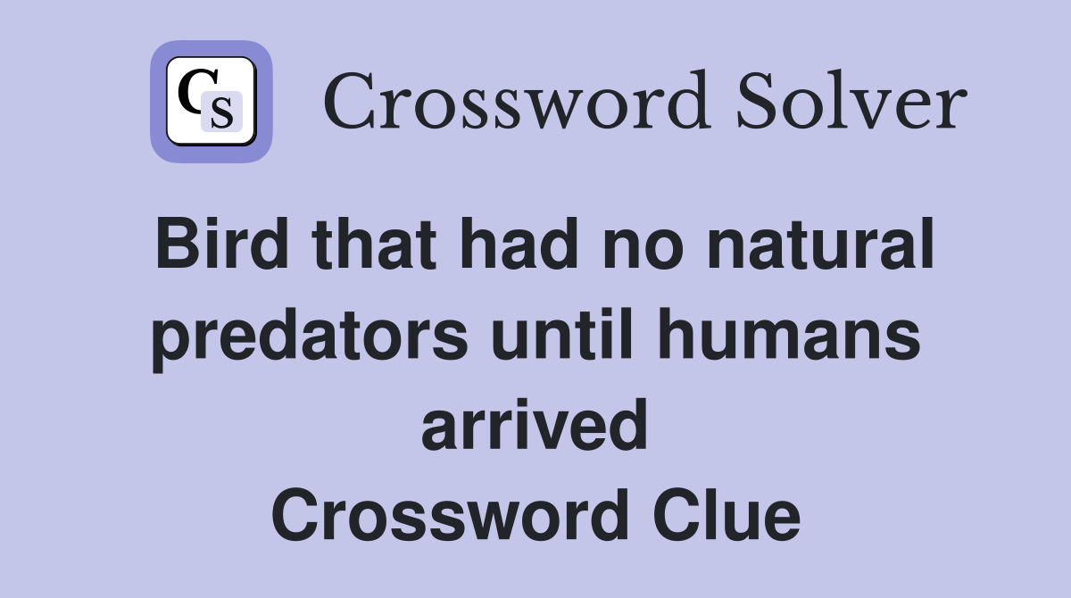 Bird that had no natural predators until humans arrived Crossword Clue