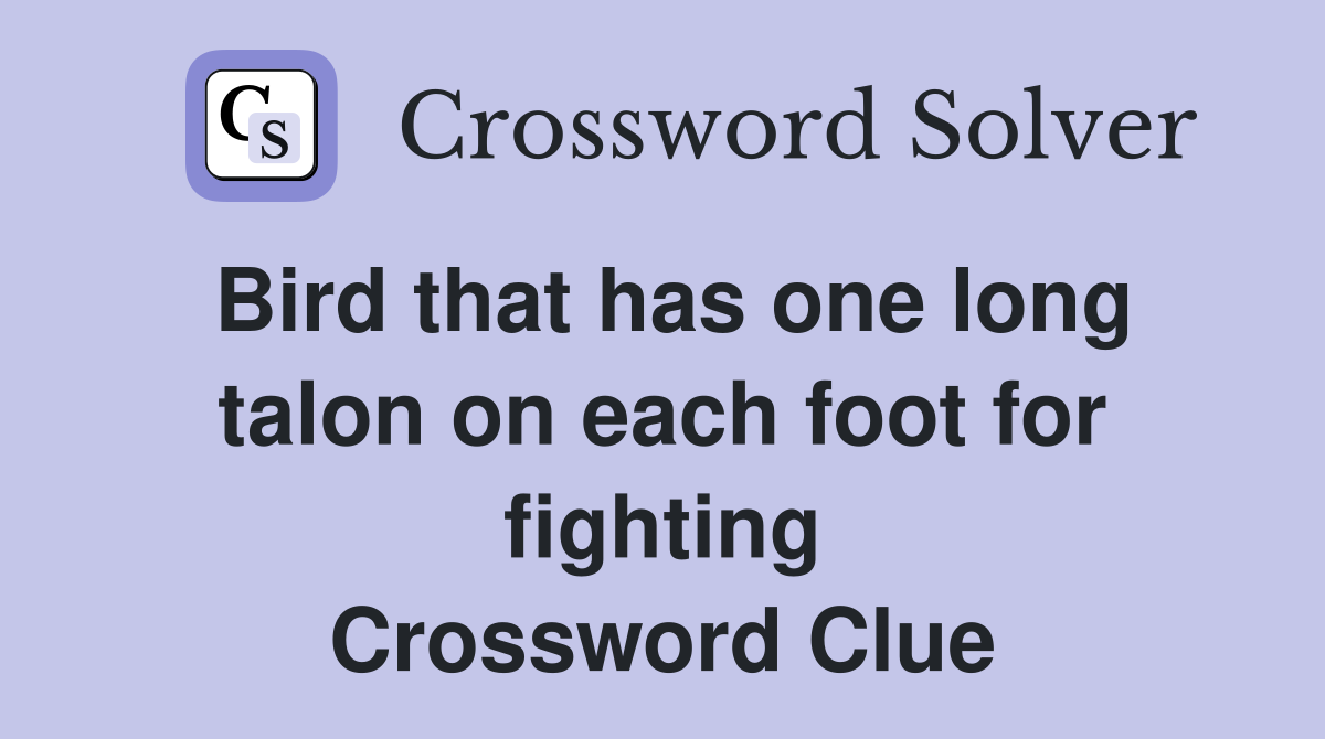 Bird that has one long talon on each foot for fighting Crossword Clue