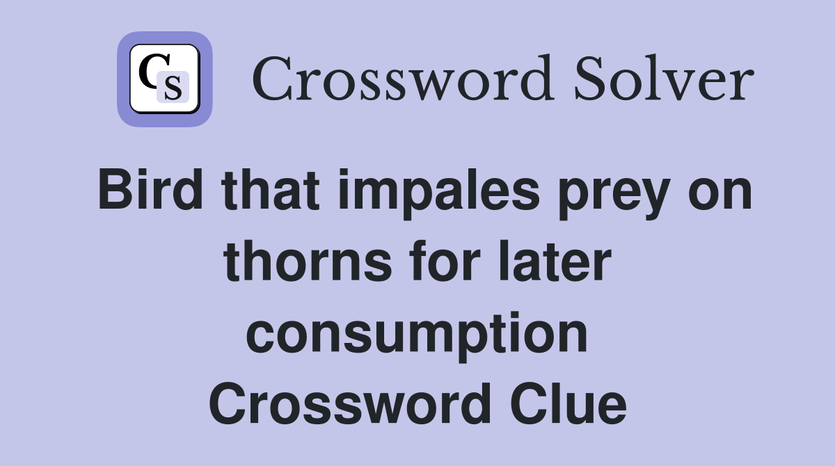 Bird that impales prey on thorns for later consumption Crossword Clue