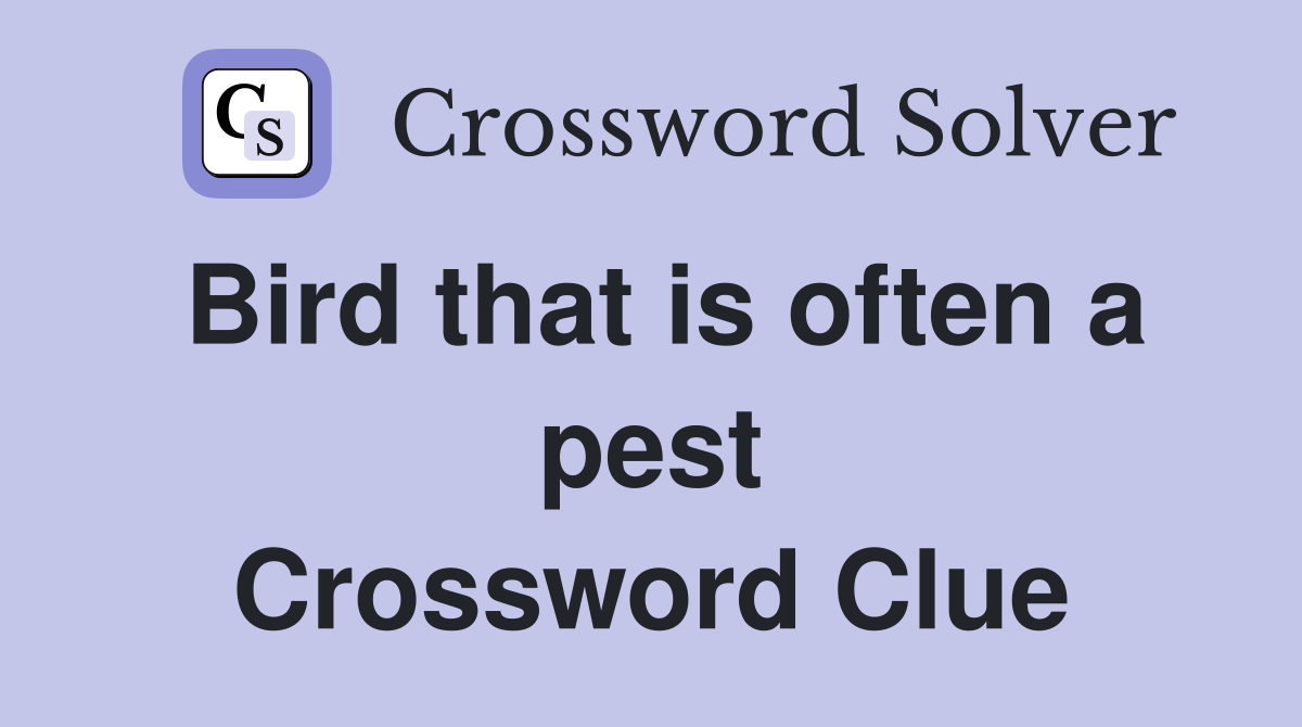 Bird that is often a pest Crossword Clue