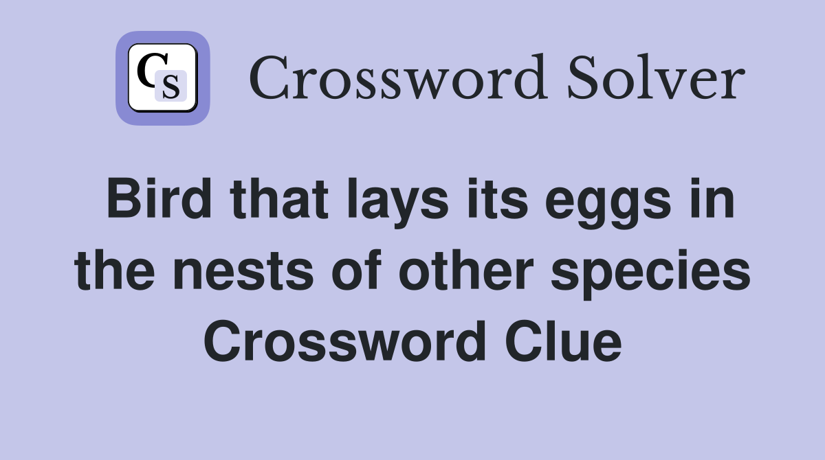 Bird that lays its eggs in the nests of other species Crossword Clue