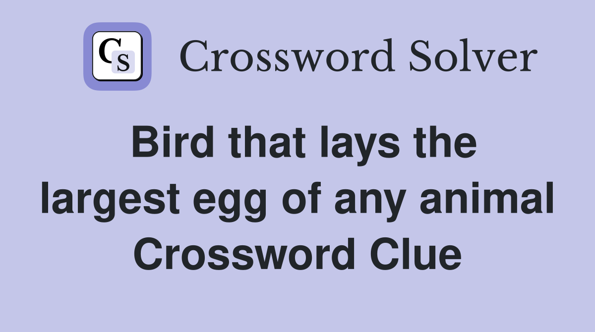Bird that lays the largest egg of any animal Crossword Clue