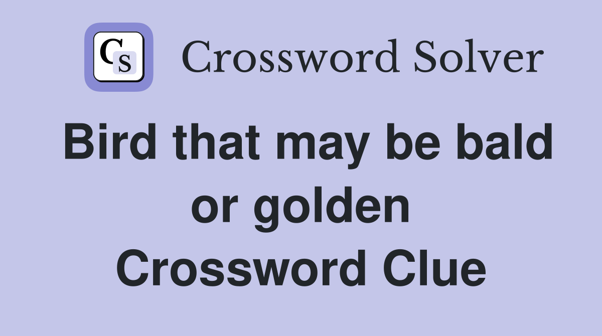 Bird that may be bald or golden Crossword Clue
