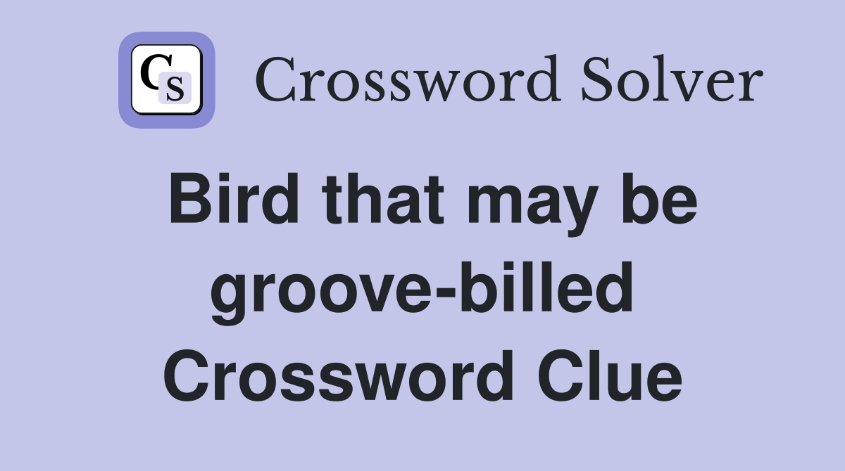 Bird that may be groove-billed Crossword Clue