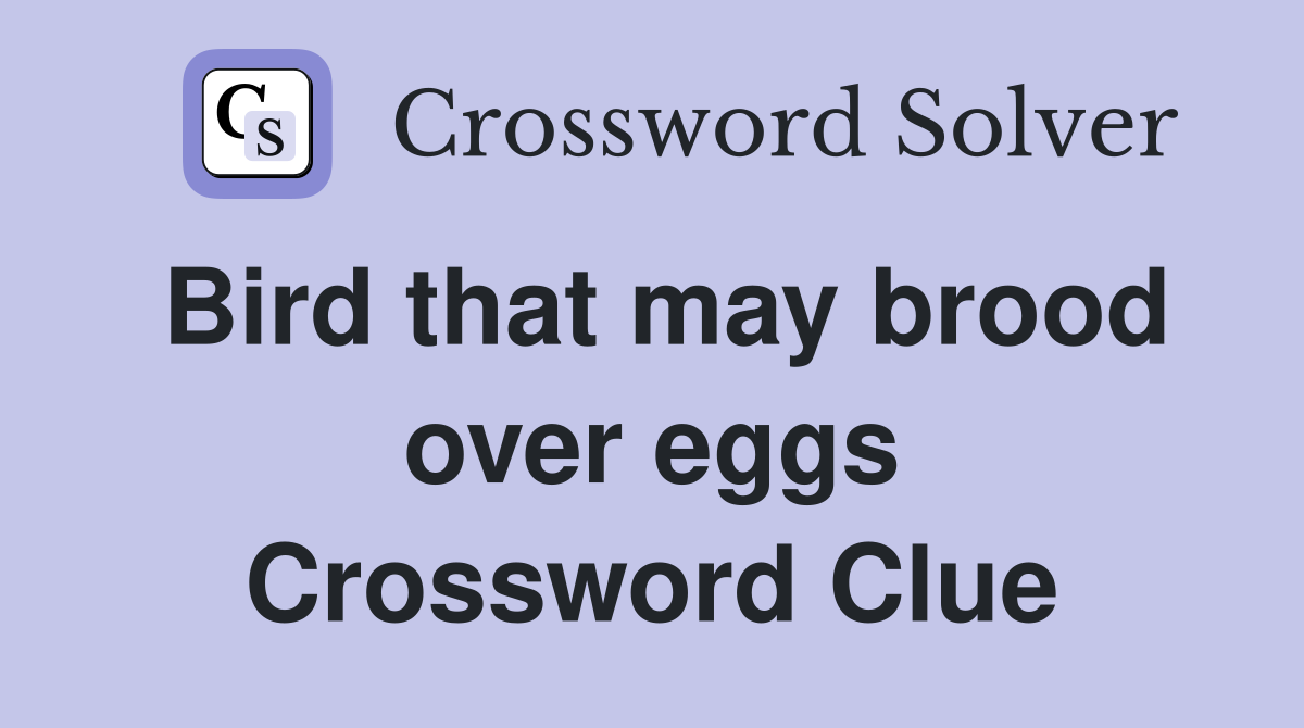 Bird that may brood over eggs Crossword Clue