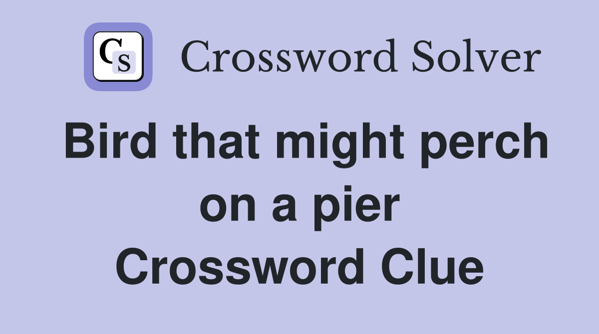 Bird that might perch on a pier Crossword Clue