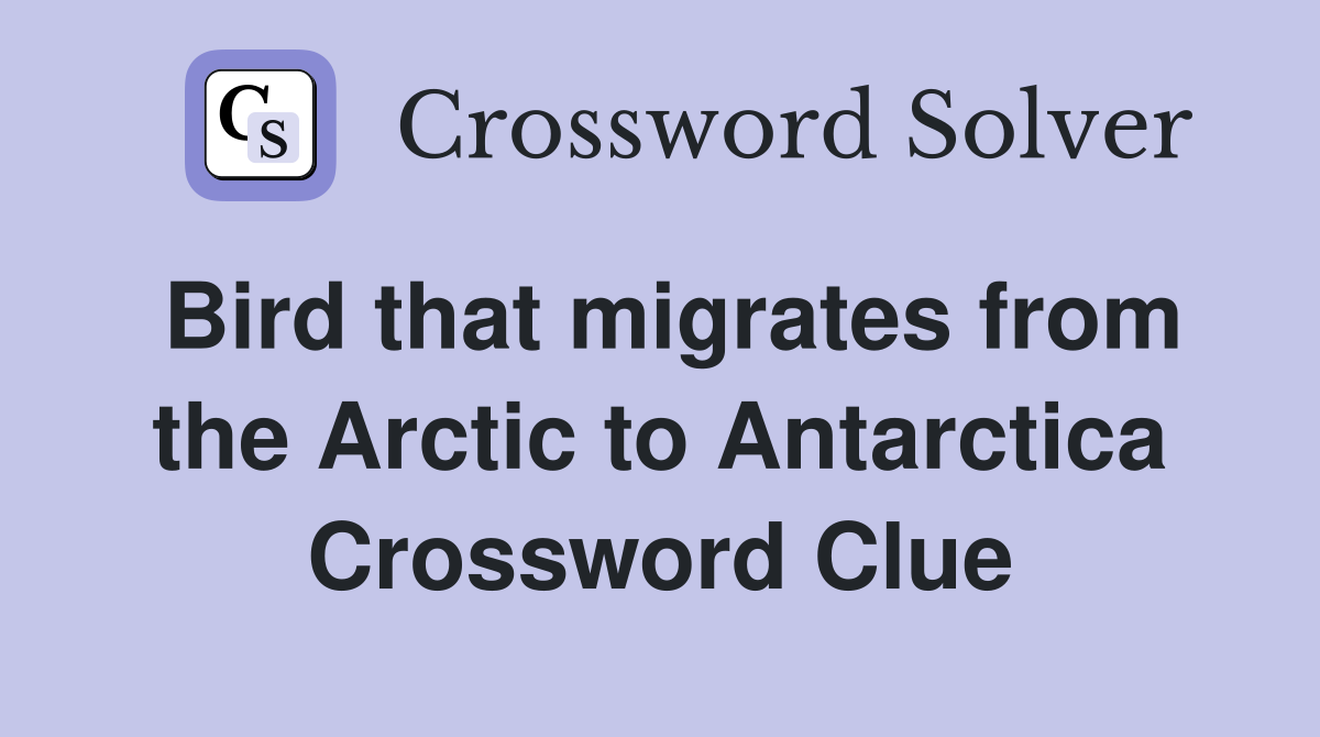 Bird that migrates from the Arctic to Antarctica Crossword Clue