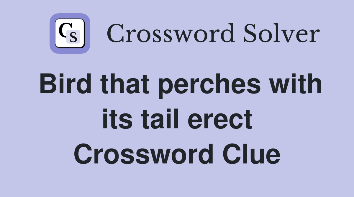 Bird that perches with its tail erect Crossword Clue