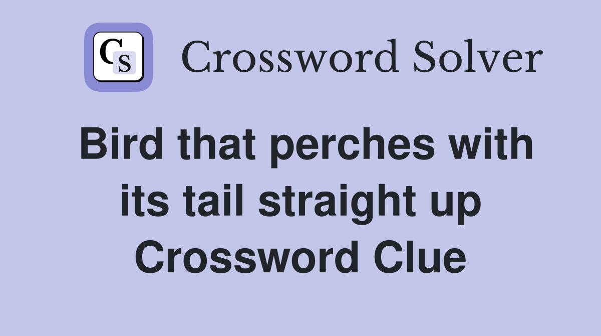 Bird that perches with its tail straight up Crossword Clue