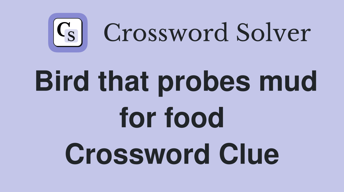 Bird that probes mud for food Crossword Clue