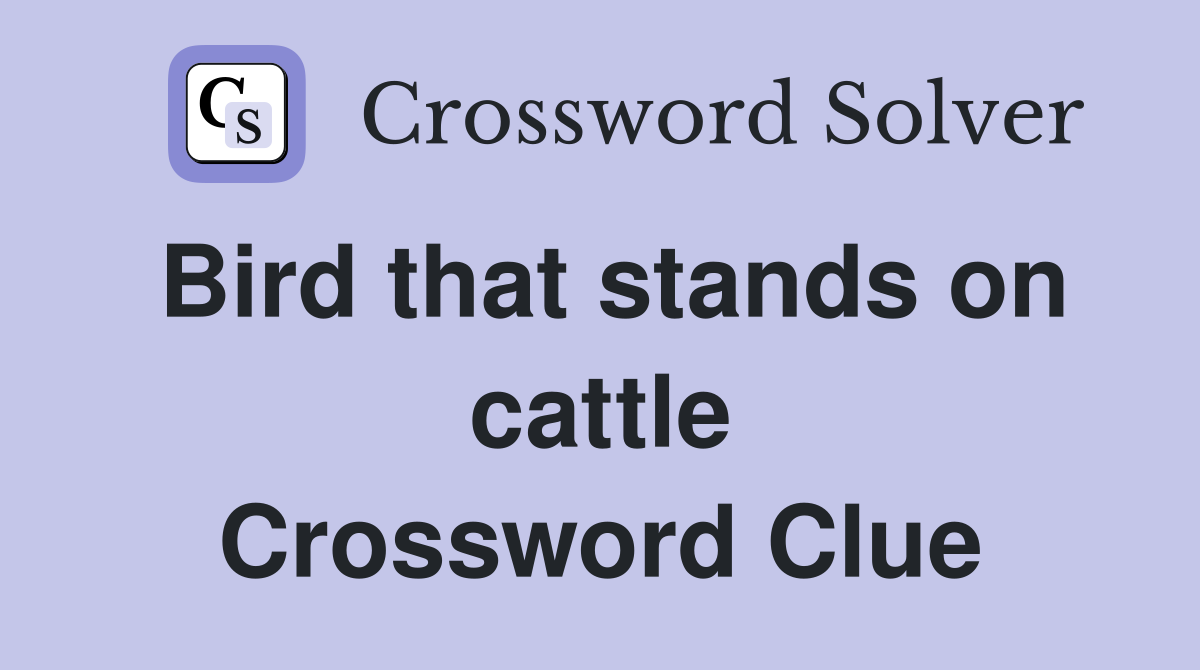 Bird that stands on cattle Crossword Clue
