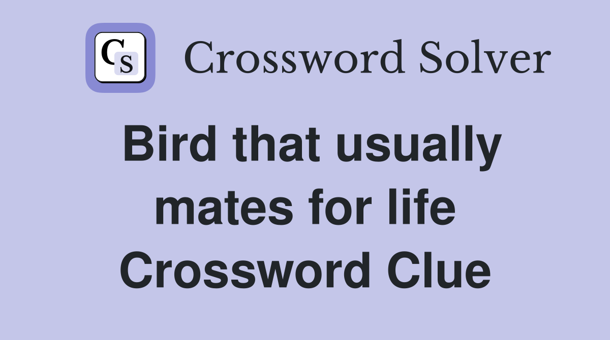 Bird that usually mates for life Crossword Clue