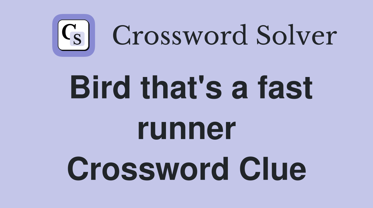 Bird that's a fast runner Crossword Clue
