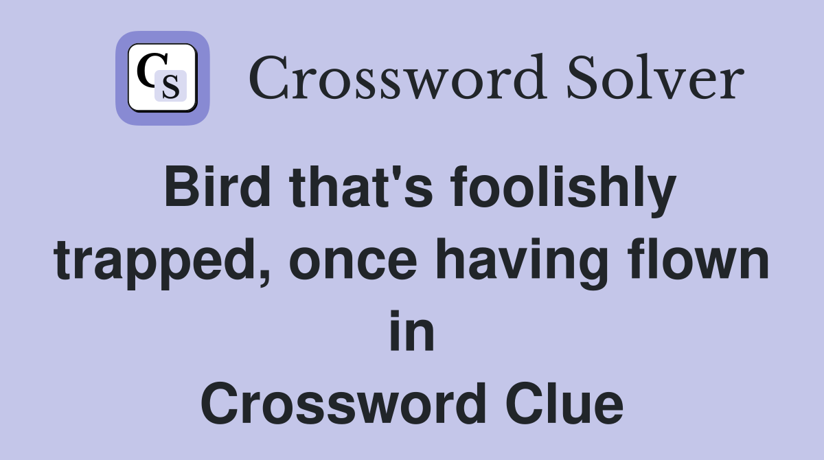 Bird that's foolishly trapped, once having flown in Crossword Clue