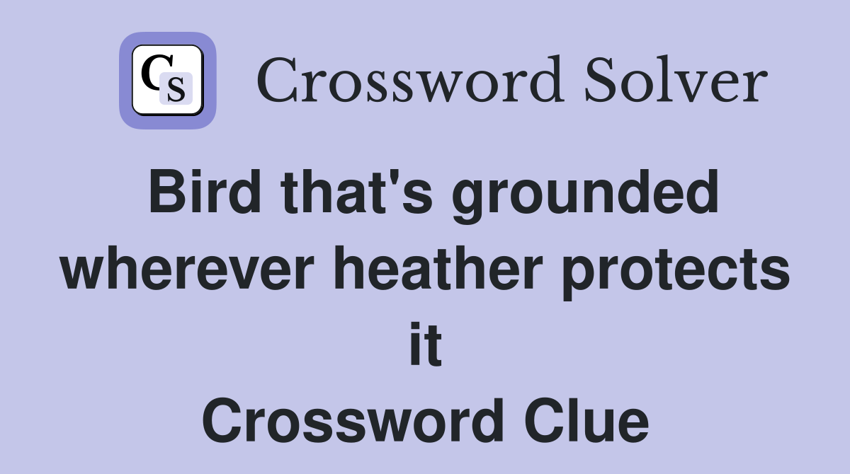 Bird that's grounded wherever heather protects it Crossword Clue