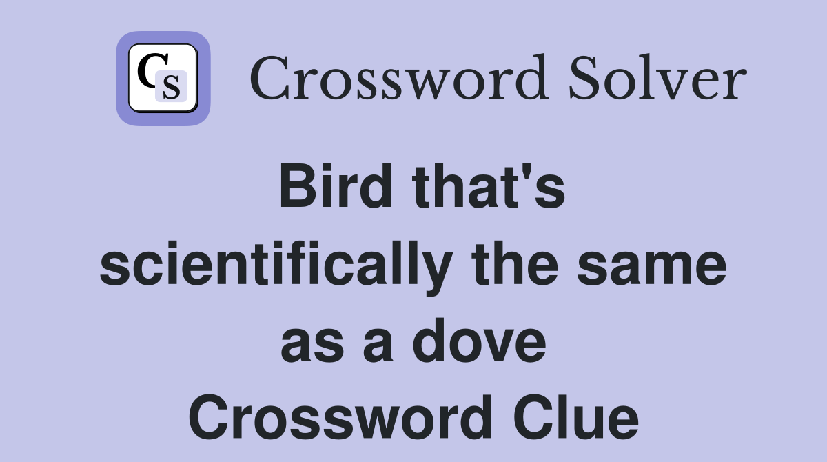 Bird that's scientifically the same as a dove Crossword Clue