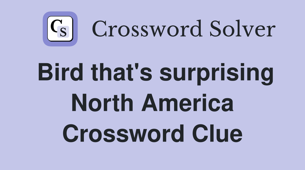Bird that's surprising North America Crossword Clue
