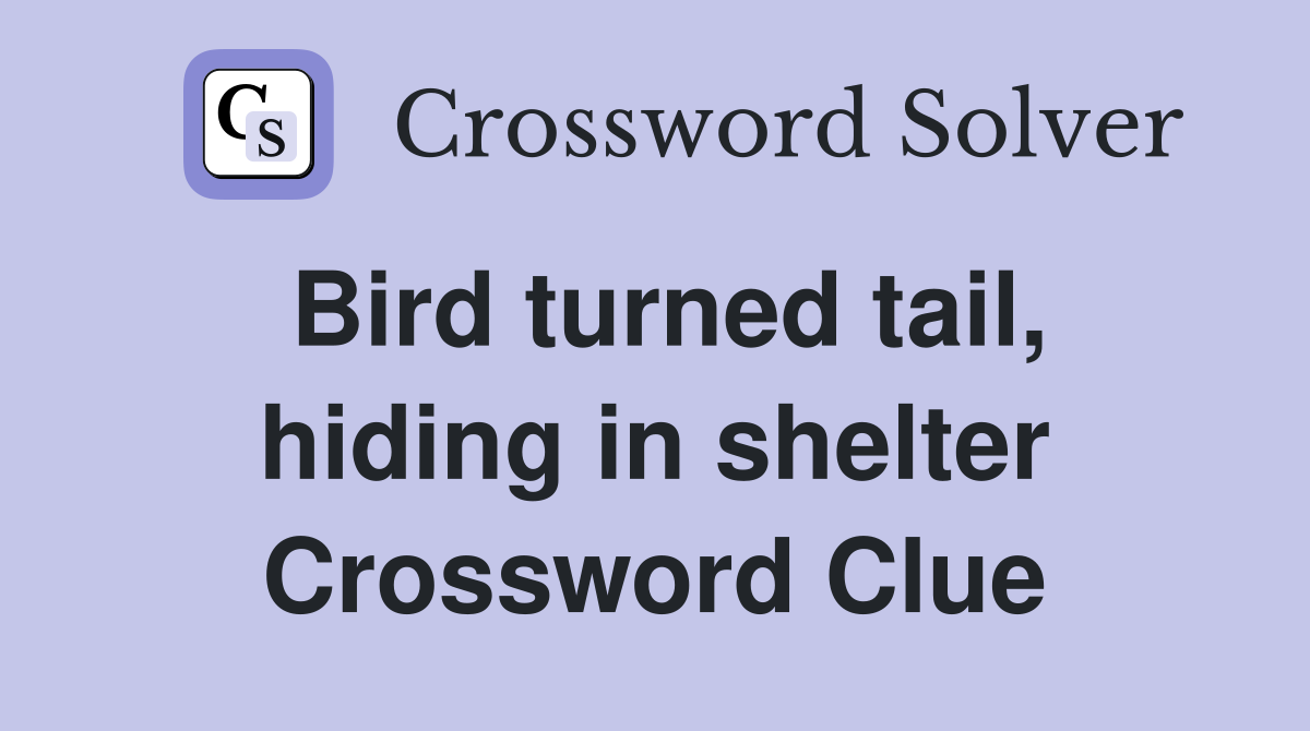Bird turned tail, hiding in shelter Crossword Clue