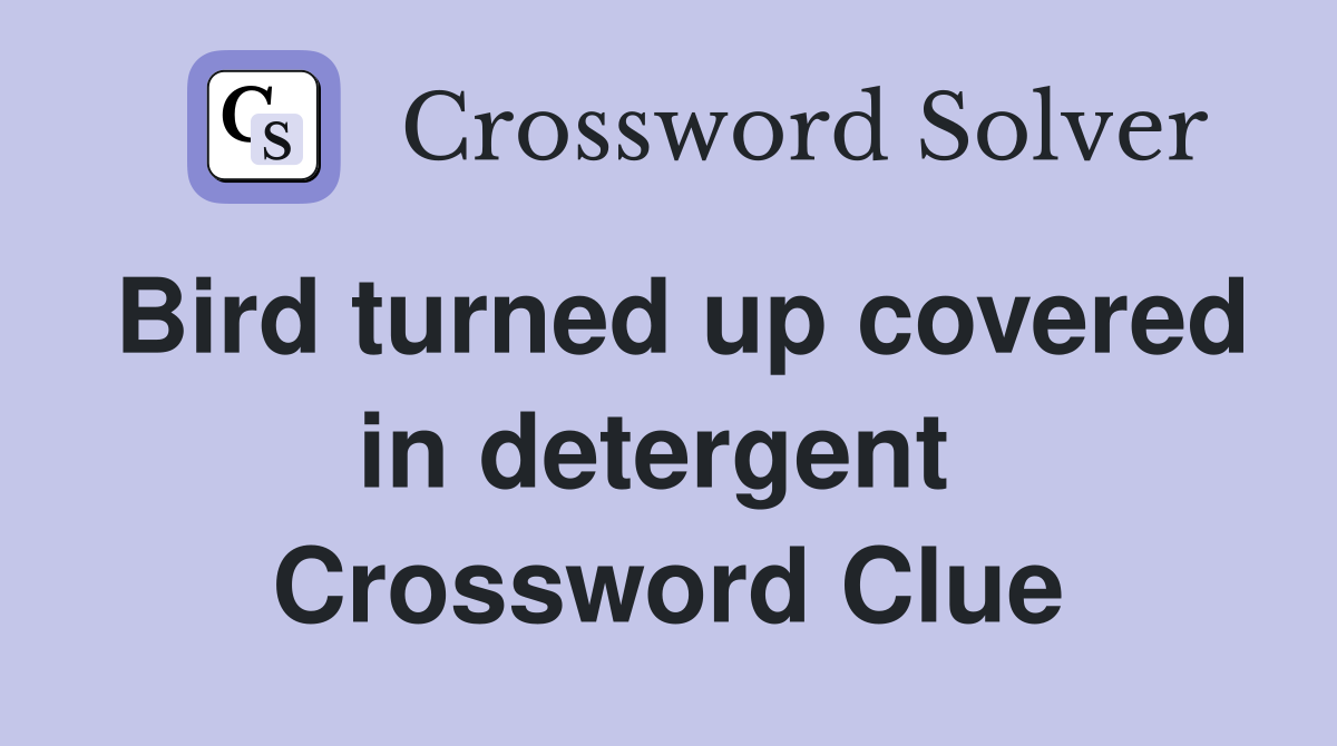 Bird turned up covered in detergent  Crossword Clue