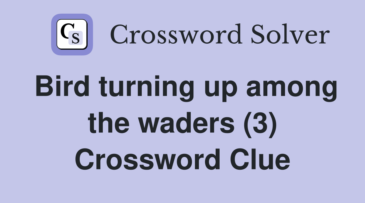 Bird turning up among the waders (3) Crossword Clue