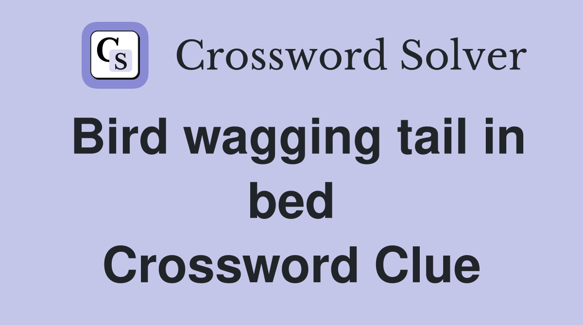 Bird wagging tail in bed Crossword Clue