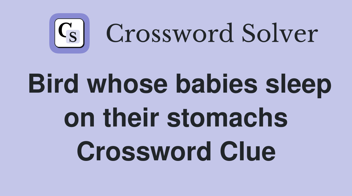 Bird whose babies sleep on their stomachs Crossword Clue
