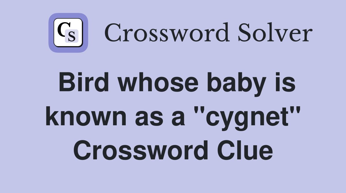 Bird whose baby is known as a "cygnet" Crossword Clue