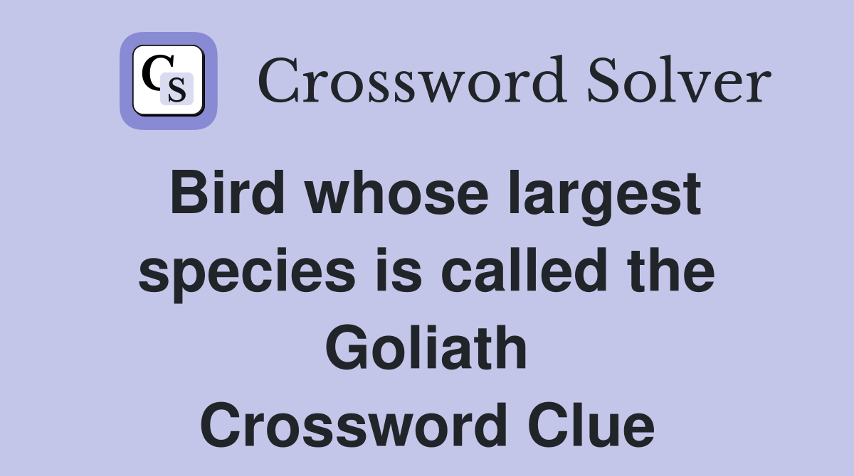 Bird whose largest species is called the Goliath Crossword Clue